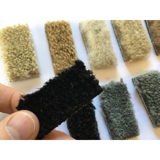 Free - Floor Mat Carpet Color Samples